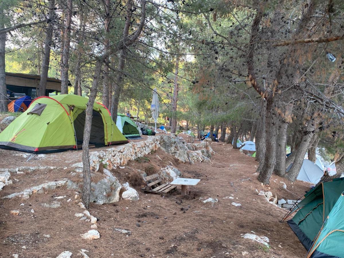 Pine Side Camp Hotel Химар Екстериор снимка