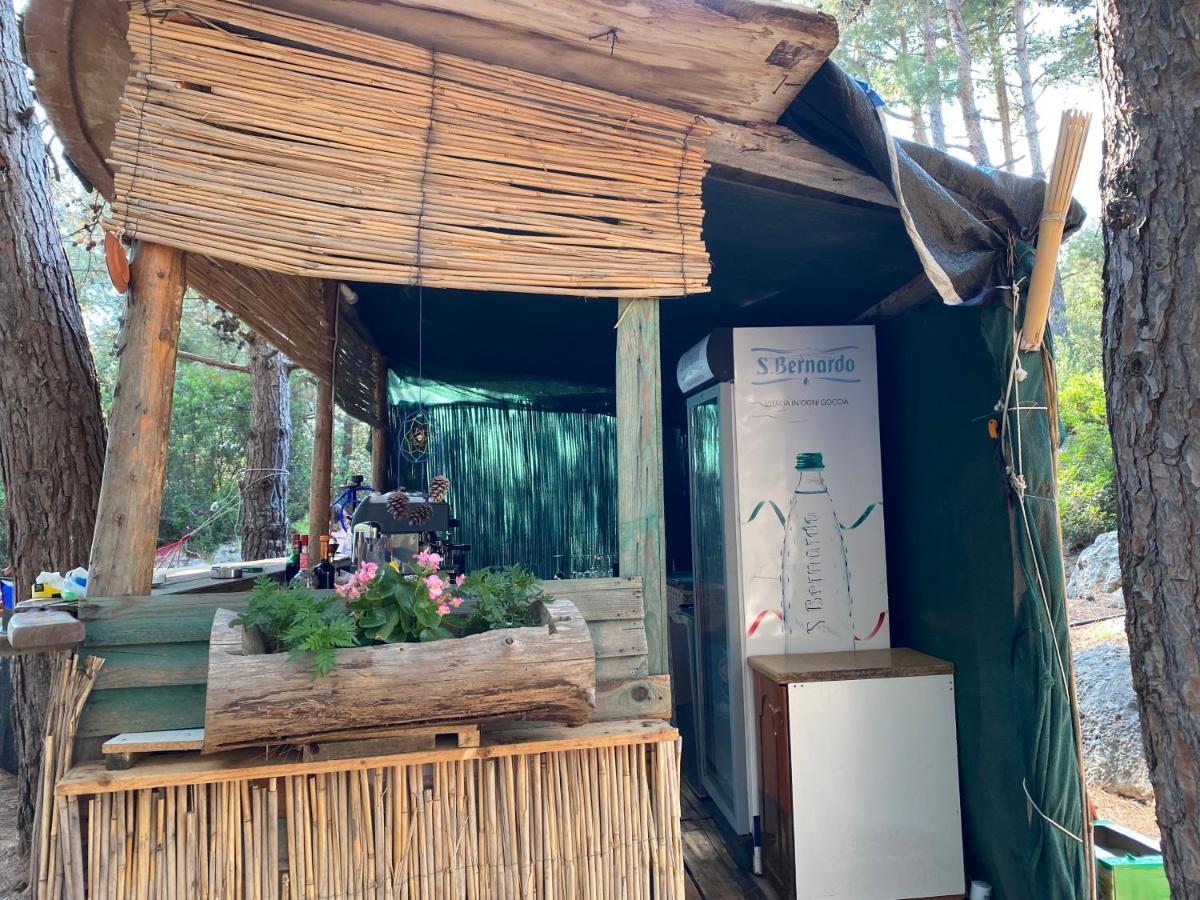 Pine Side Camp Hotel Химар Екстериор снимка
